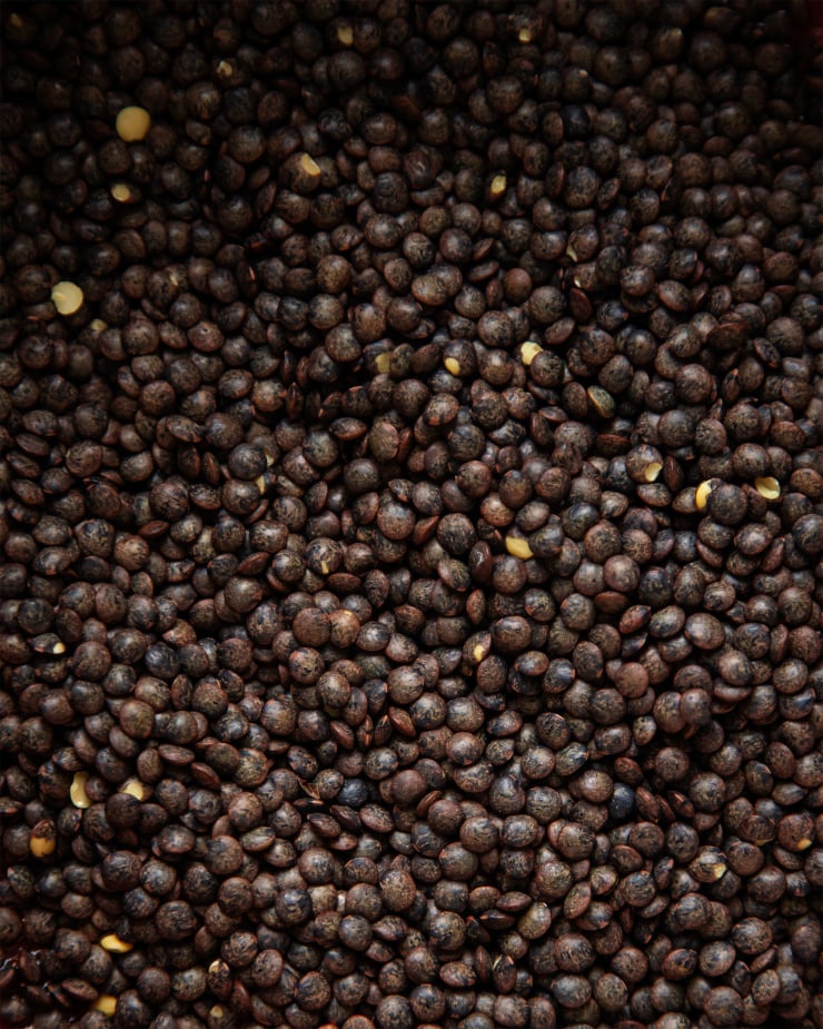 Image is a closeup of some dry French lentils in low lighting.