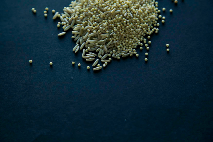 An overhead shot shows millet and rice grains on a dark background.