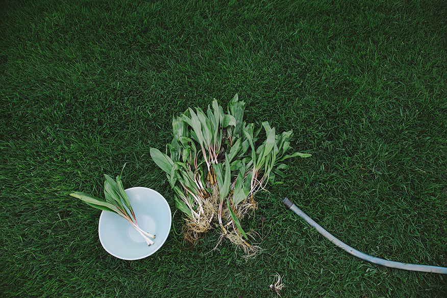 Image shows ramps being cleaned with a hose outside.