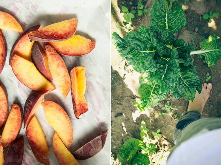 Two images show frozen peach wedges and chard growing in a garden.
