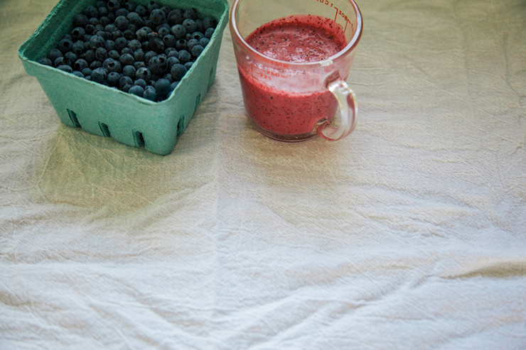 A 3/4 angle image shows a pint of blueberries and a container of blueberry salad dressing nearby.