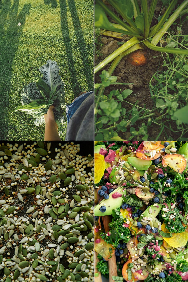 4 images show a handful of greens, a beet growing in the ground, a mixture of puffed quinoa and seeds, and a dressed superfood salad with avocado and carrots and kale.