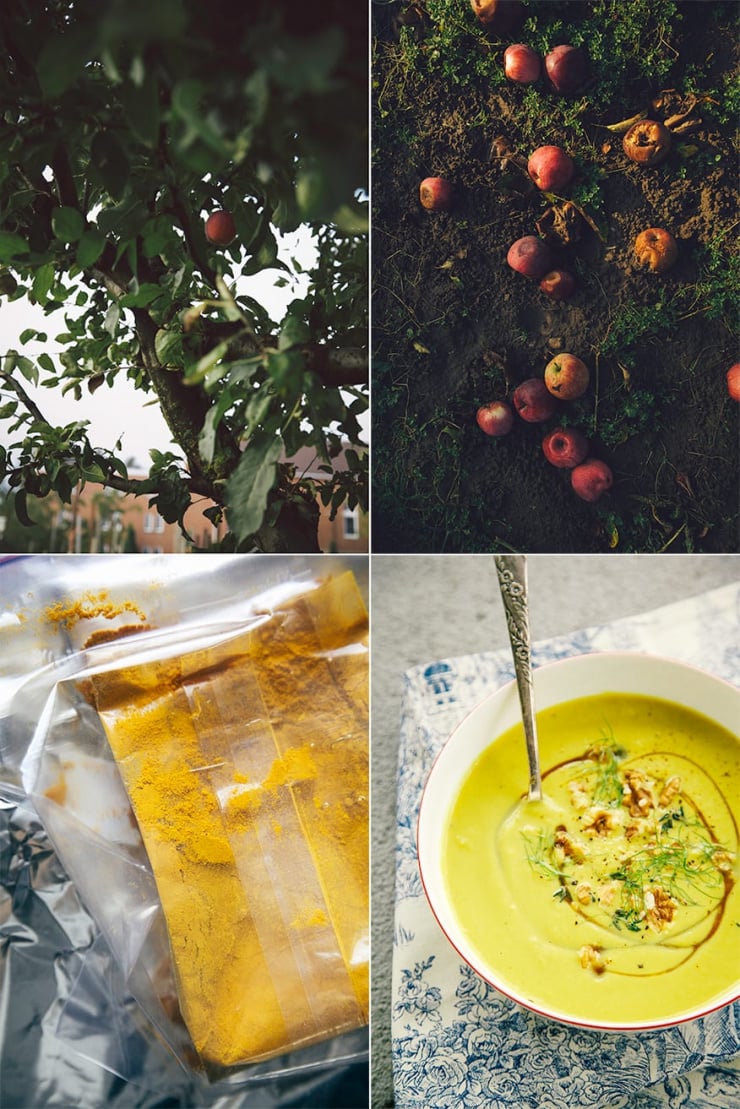 4 photos: one of an apple tree up close, one of fallen spoiled apples in the dirt, one of a package of turmeric, and one of a bowl of fennel walnut soup.