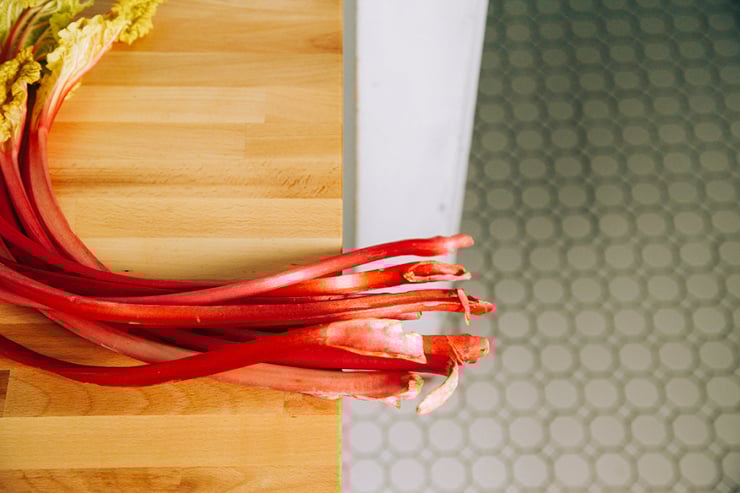 rhubarb // the first mess