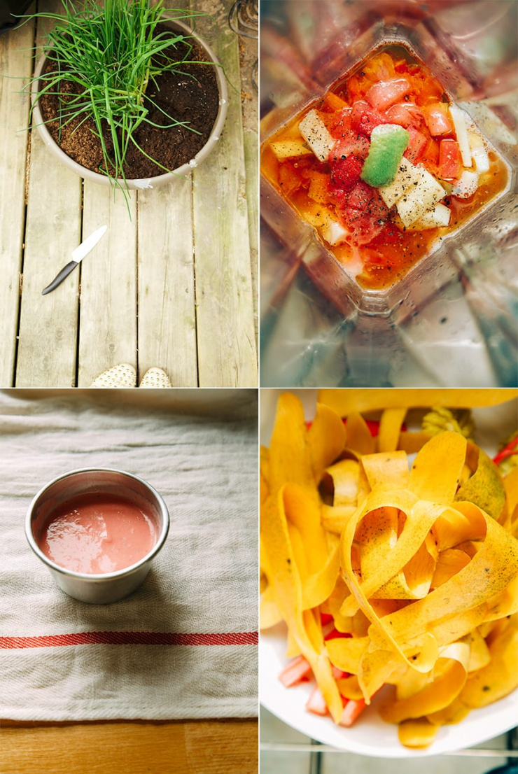 chives, rhubarb ginger dressing, mango peels // the first mess