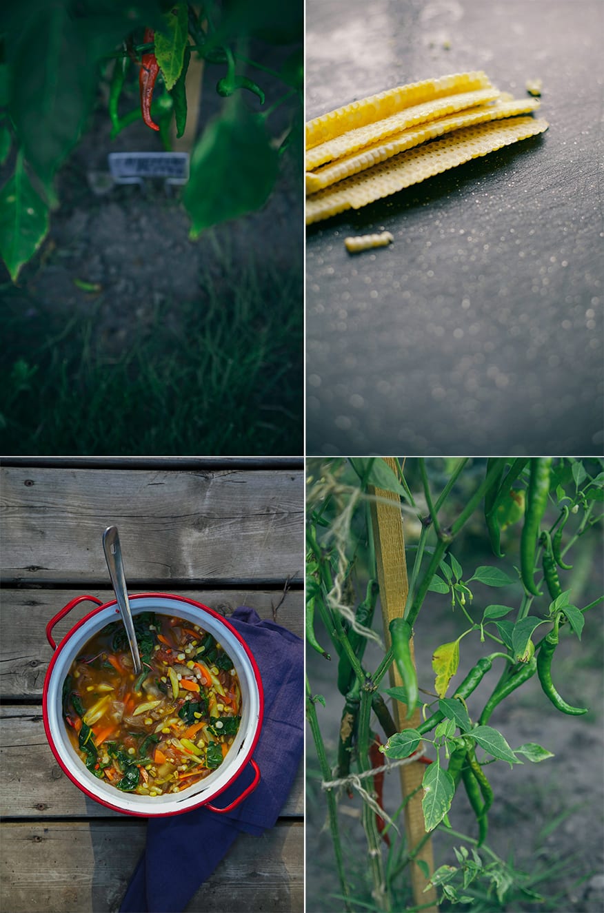 Bali garden stew w/ toasty cashews + shallots // @thefirstmess