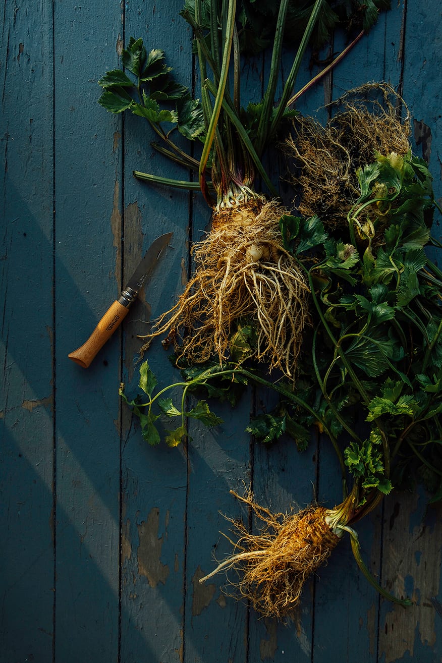 gnarly celery roots // @thefirstmess