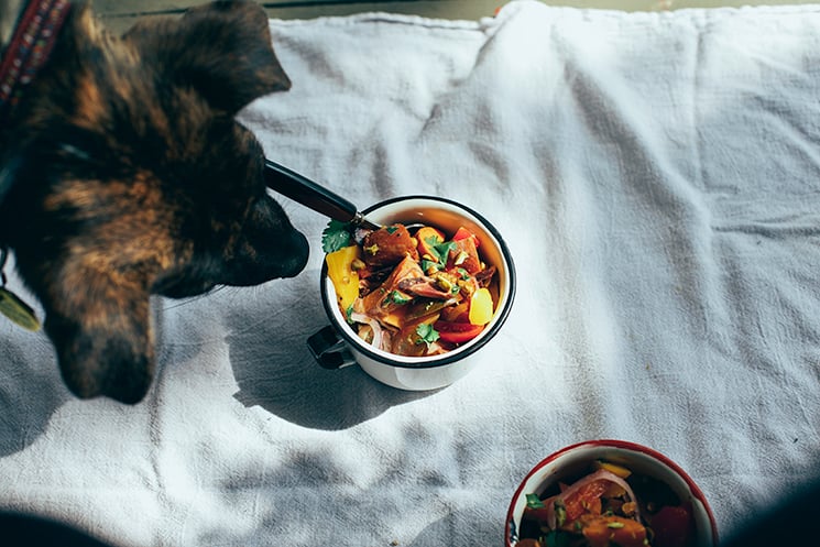 An overhead shot of a dog's head moving towards a serving of salad in a small white cup.