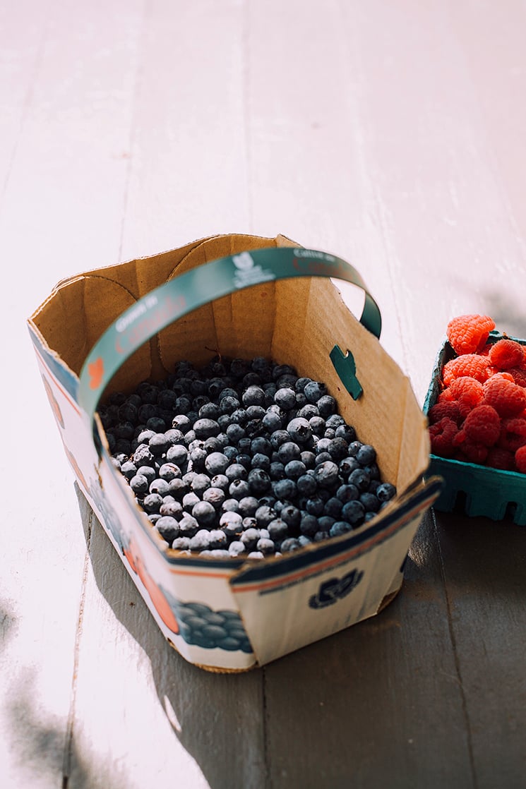 a 3/4 angle shot shows blueberries in a basket in full sun