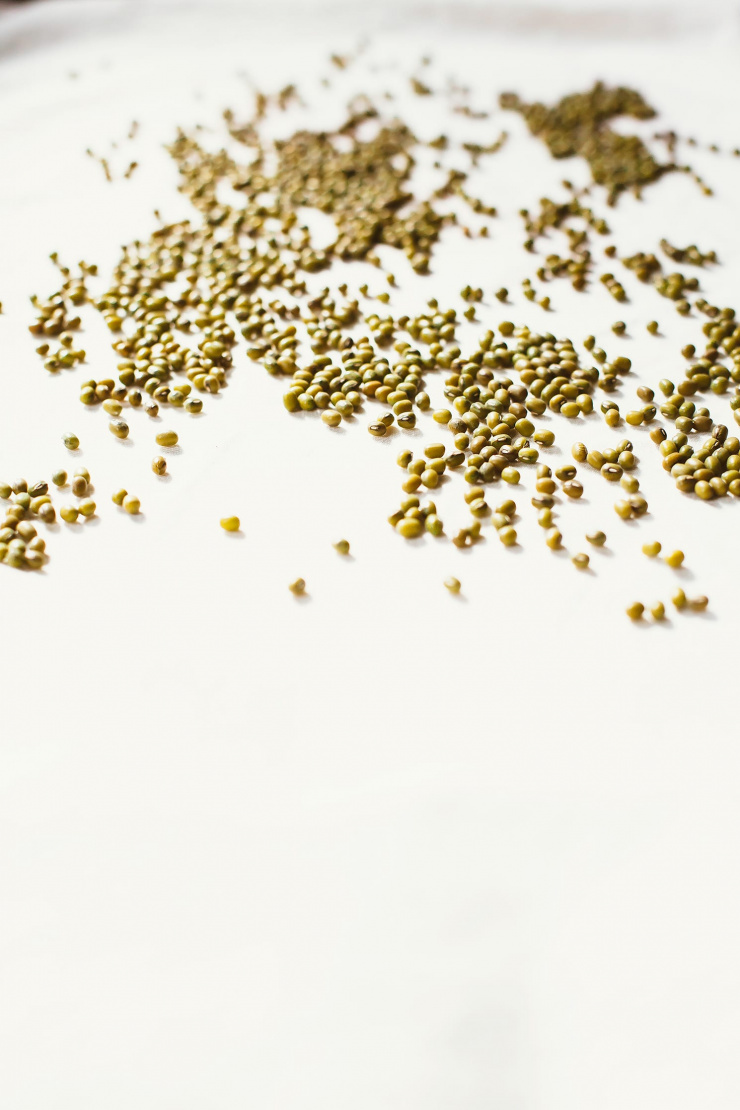 sprouted mung bowl with coconut quinoa + beet tahini - The First Mess