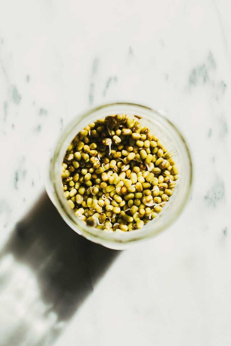 sprouted mung bowl with coconut quinoa + beet tahini - The First Mess
