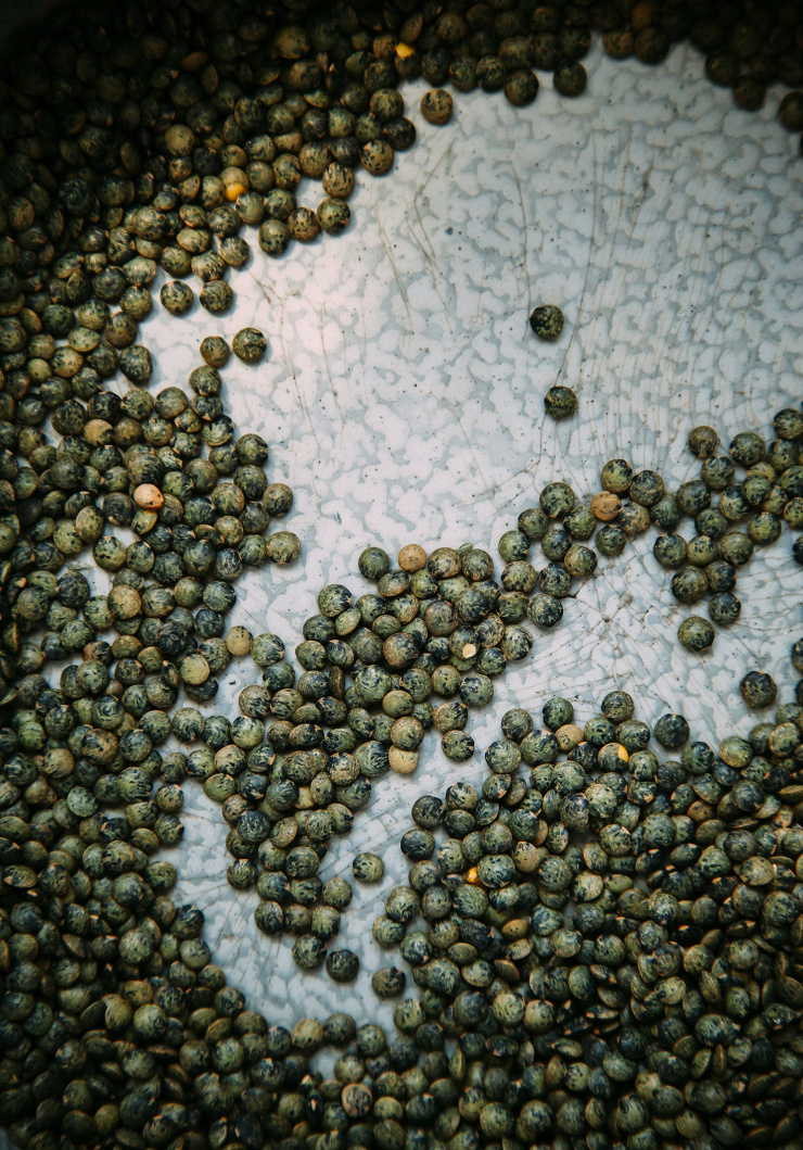 An up close shot of French green lentils