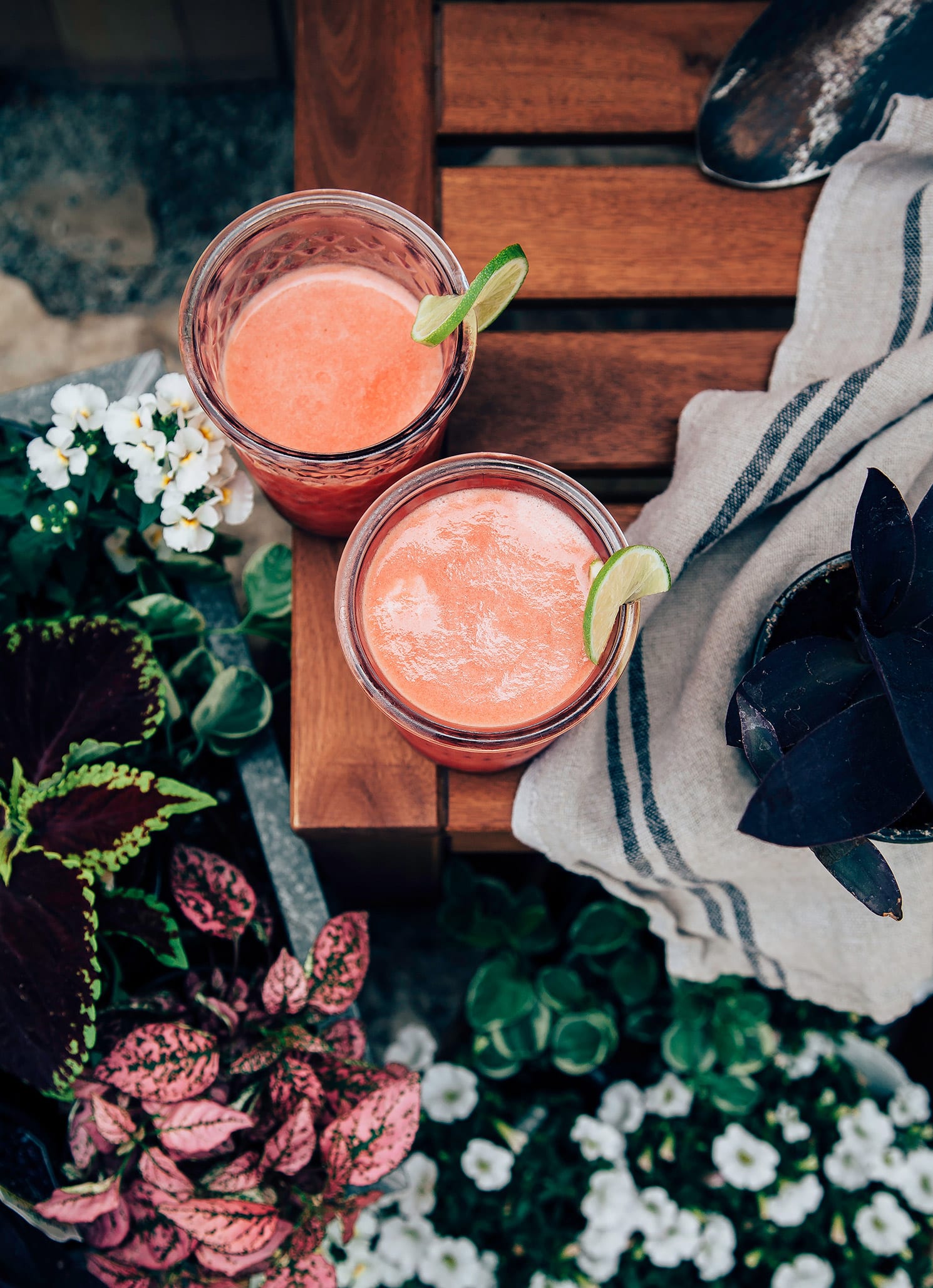 An overhead shot of two glasses of pink summer bliss juice on a wood table with plants to the side. Both glasses are garnished with lime wheels.