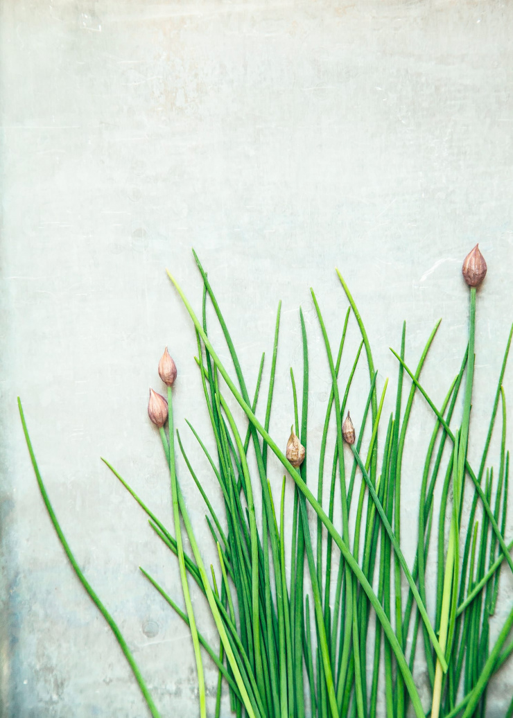 for Creamy Zucchini Noodles with Spring Onion Miso Sauce & Cheesy Sunflower Sprinkle - The First Mess