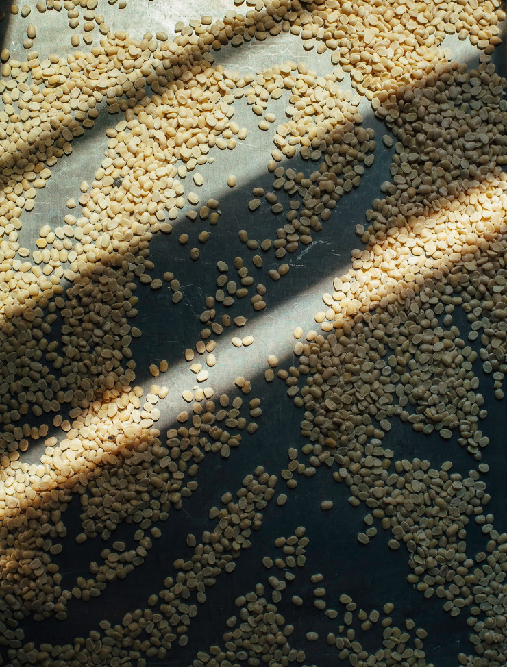 white lentils for #pulsepledge - The First Mess