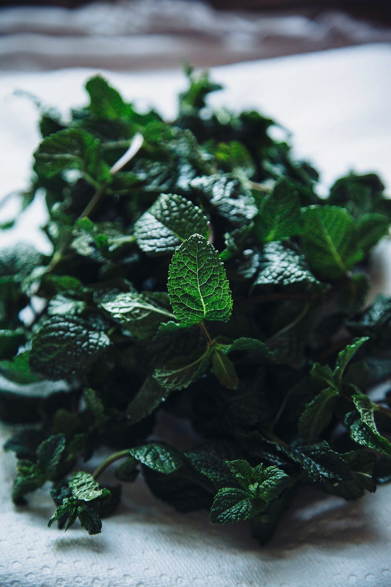A 3/4 angle image of a bouquet of fresh mint.