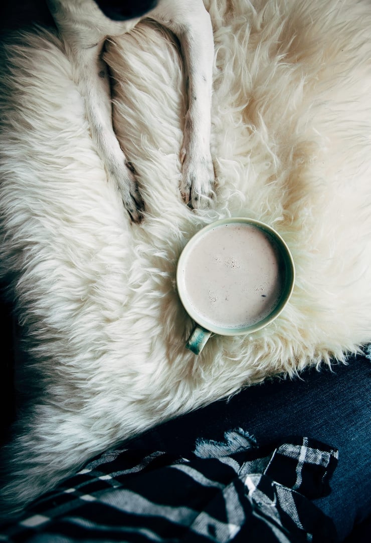 An overhead shot of a creamy tea latte set on top of a faux fur rug. A dog's paws are seen to the side.