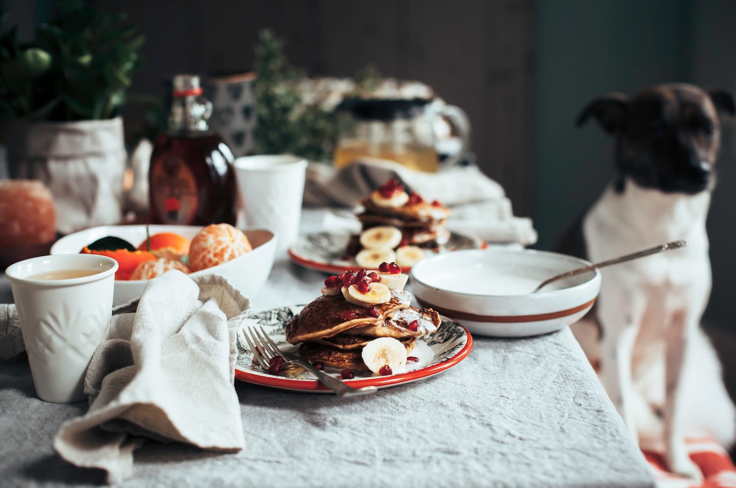 A 3/4 angle image shows a plate of pancakes drizzled with a creamy sauce and topped with sliced banana and pomegranate seeds. A dog is seen sitting in the background.