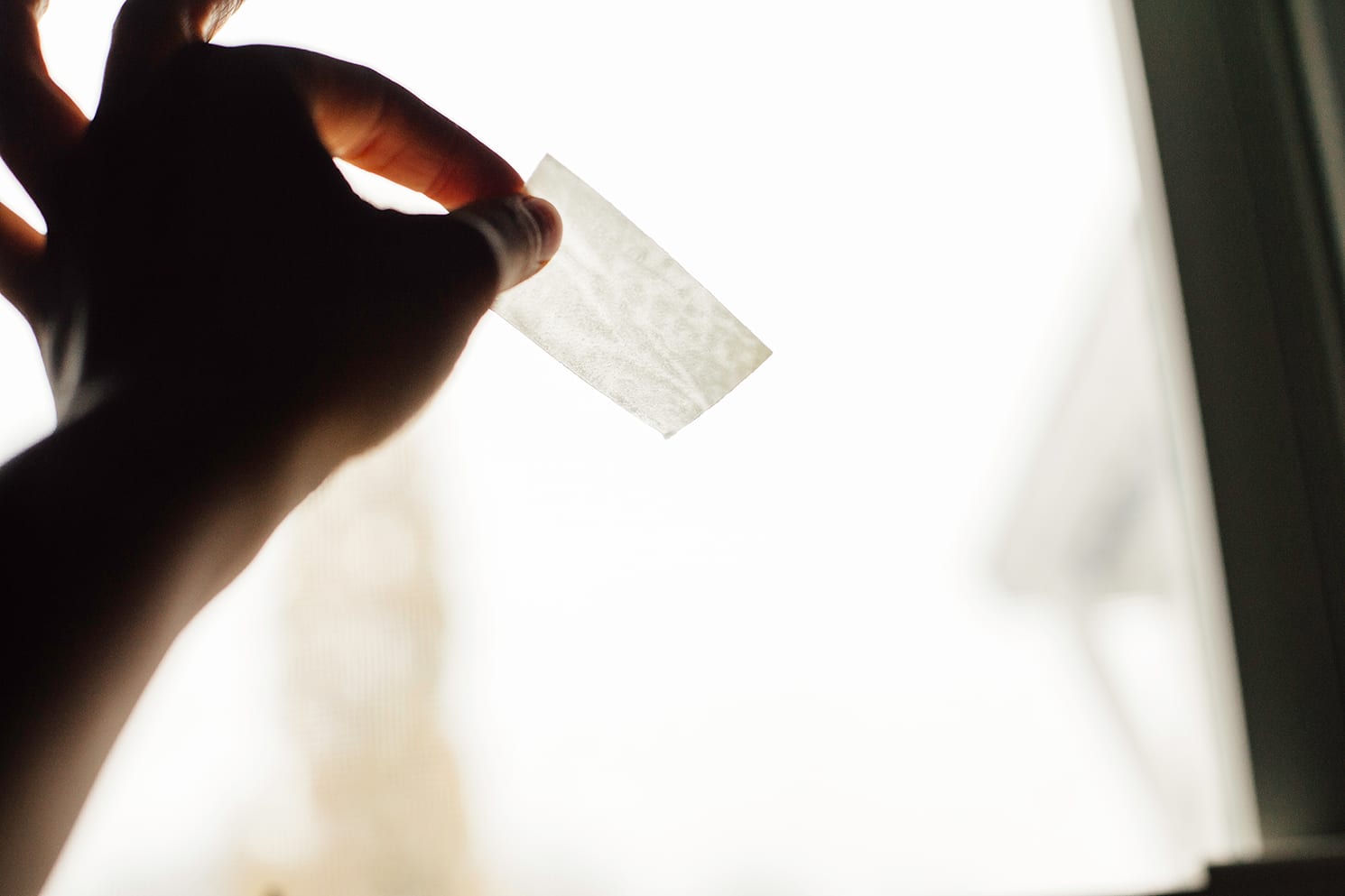 Image shows a hand holding a paper thin potato slice to the light of a window.