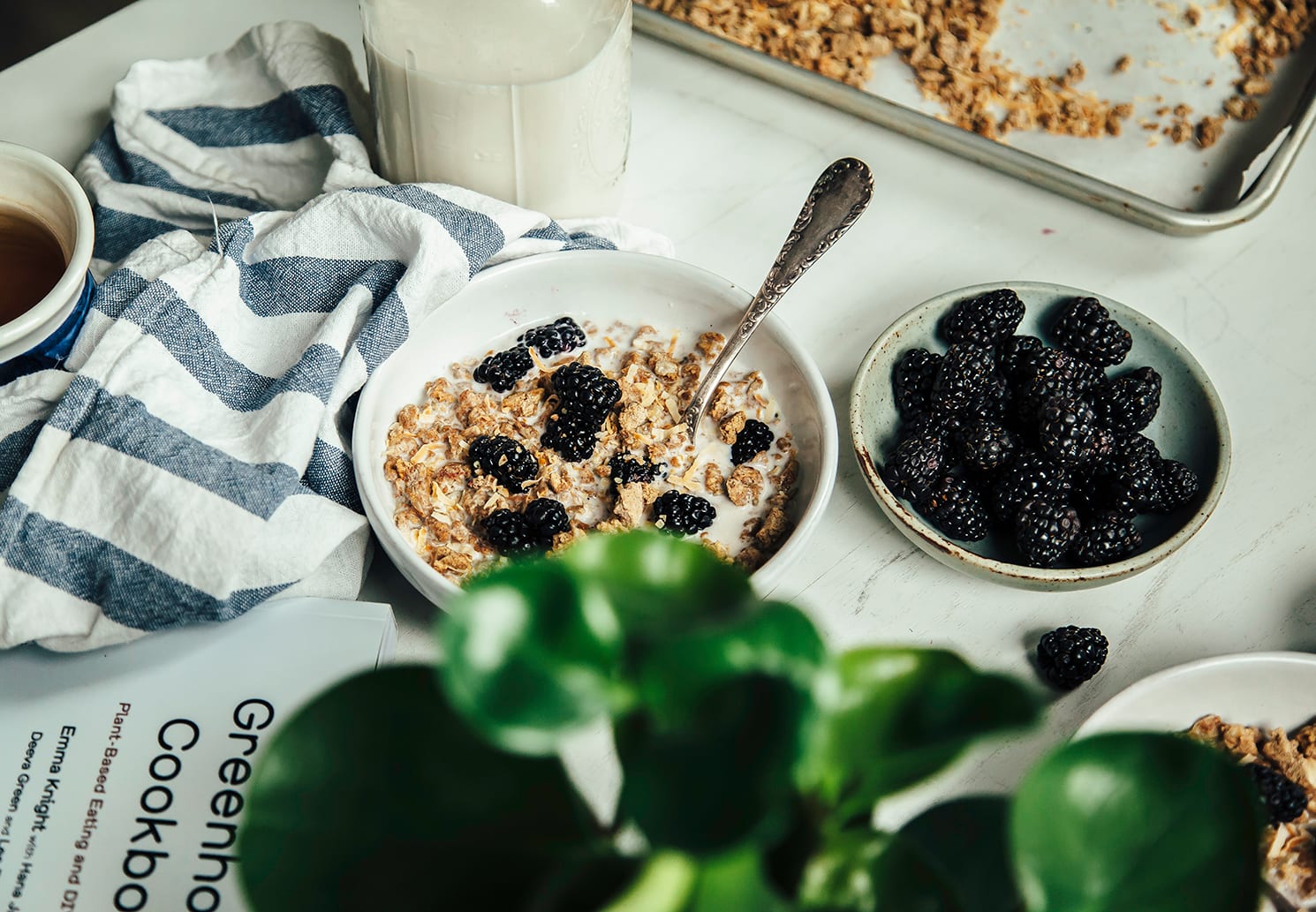 A 3/4 angle shot of granola in a bowl with some blackberries and milk poured over top.