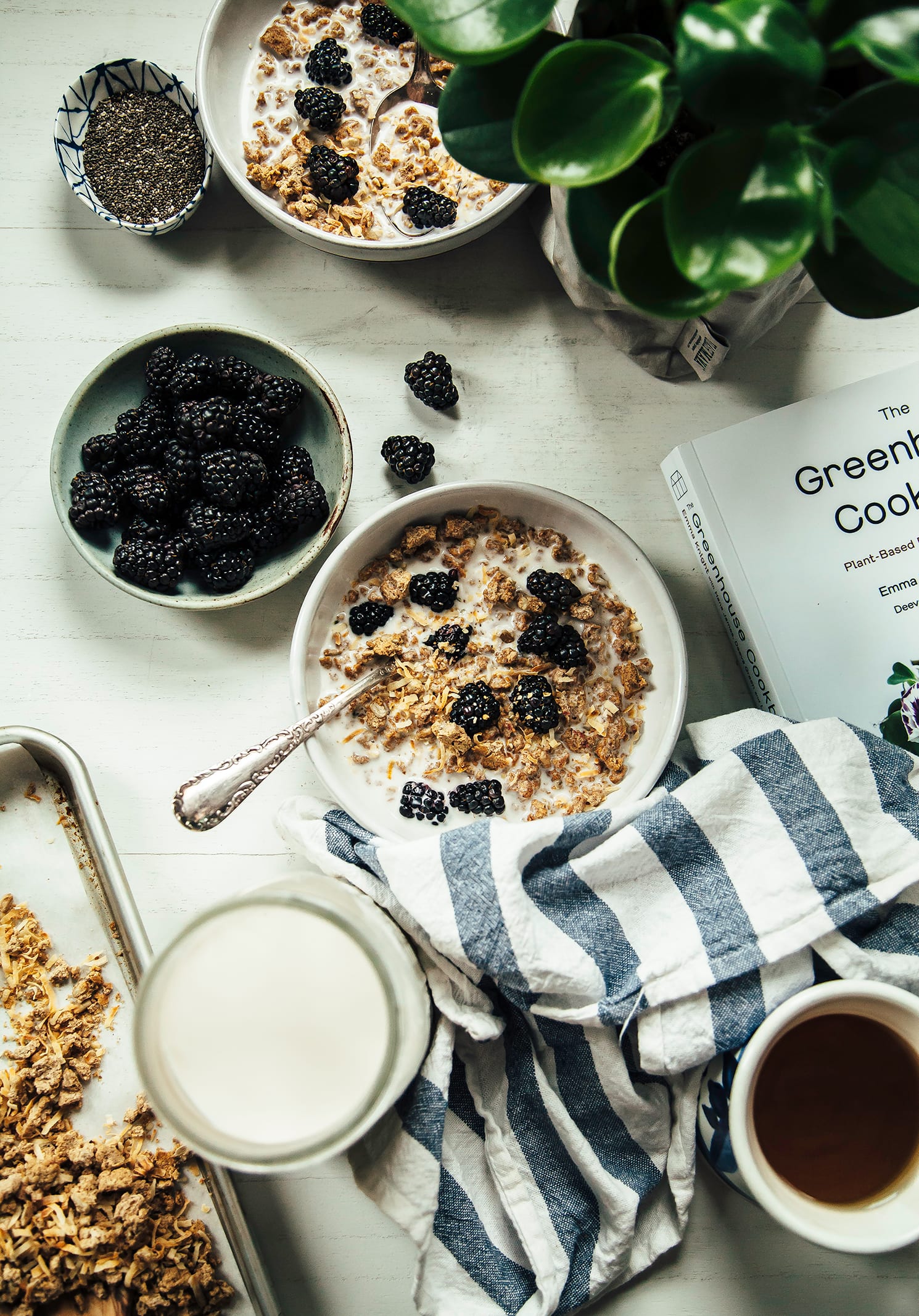 An overhead shot of granola in a bowl with some blackberries and milk poured over top.