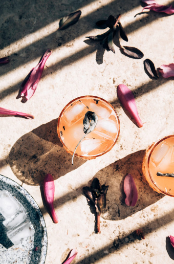 Citrus and Sage Tonic from "Kale & Caramel"