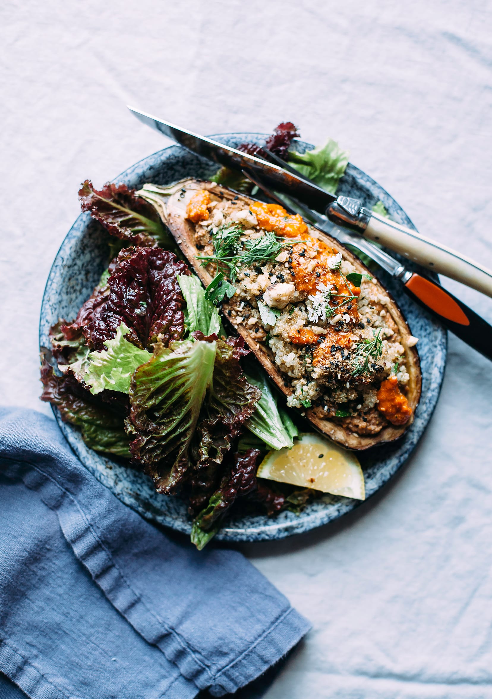 An overhead image shows a blue enamelware plate with a stuffed eggplant half (filled with quinoa, herbs and a red sauce), and a side of dressed red leaf lettuce.