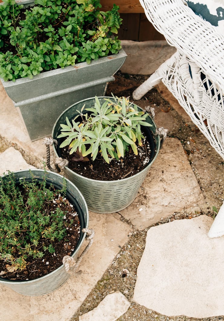 An overhead shot of potted herbs outside.