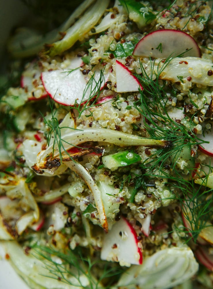 An overhead, up close shot of a quinoa salad with roasted fennel pieces and slices of radishes.