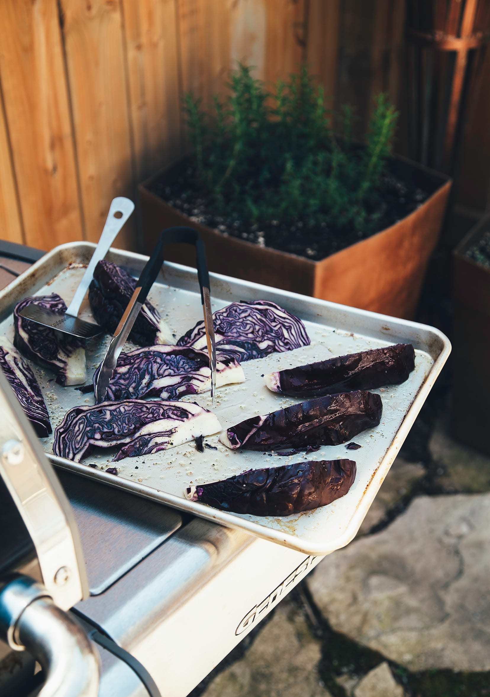 Image shows a sheet tray of cabbage wedges, waiting to be grilled outdoors.