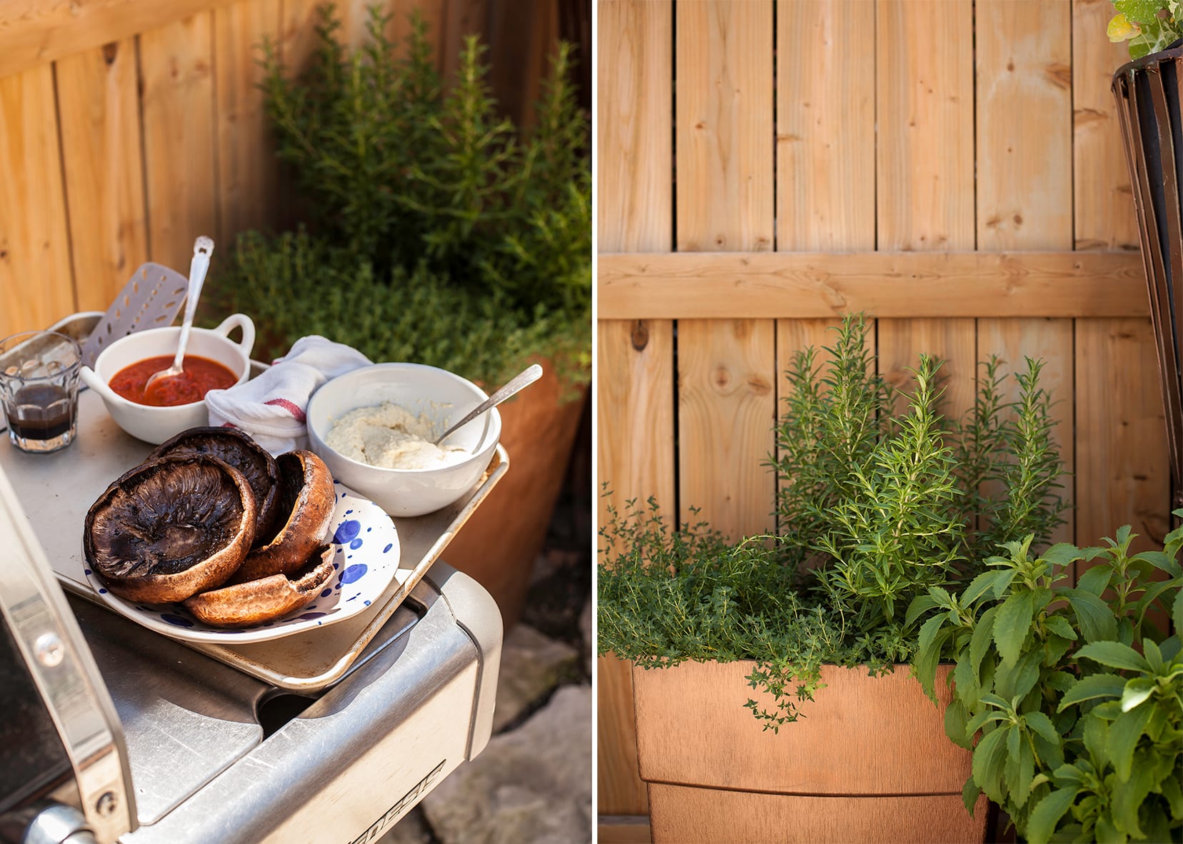 Two images show portobello mushrooms about to be grilled and a planter with rosemary and thyme growing inside.