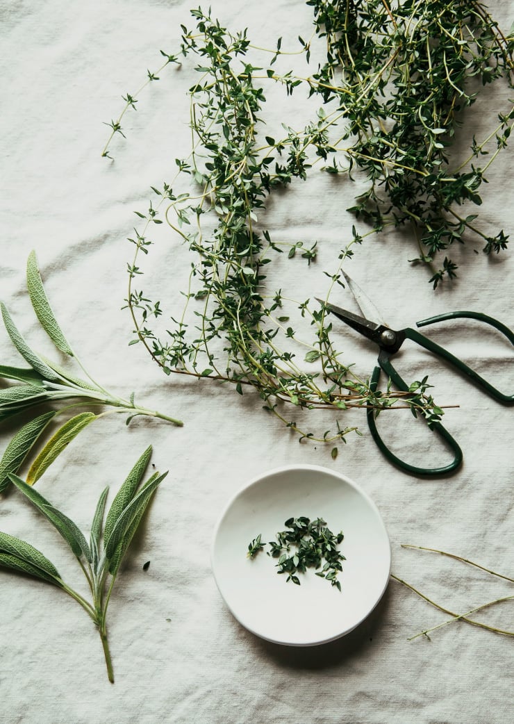 An overhead shot of thyme and sage being trimmed.
