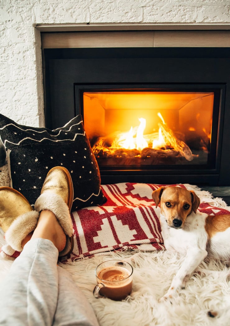 Image shows a cute dog lounging by a fireplace on some blankets and pillows. A mug of hot chocolate is seen nearby.