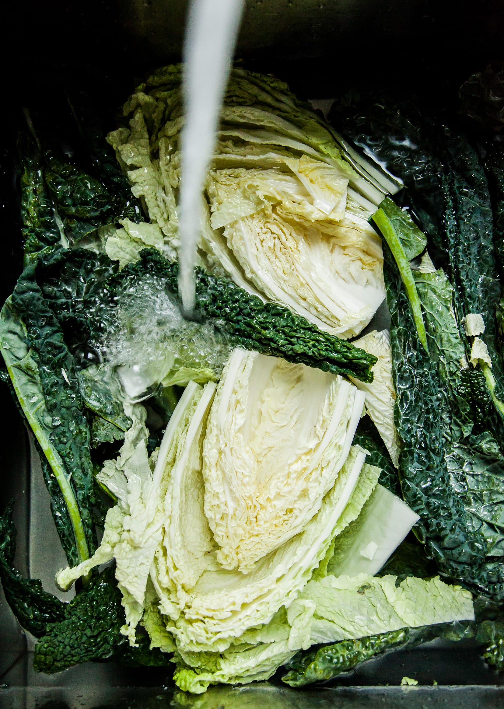 Image shows Napa cabbage and kale being washed in a sink.