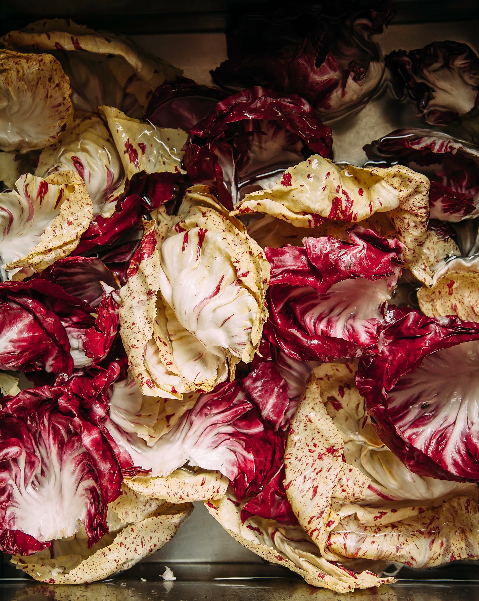 An overhead shot of different coloured radicchio leaves getting washed in a stainless sink.