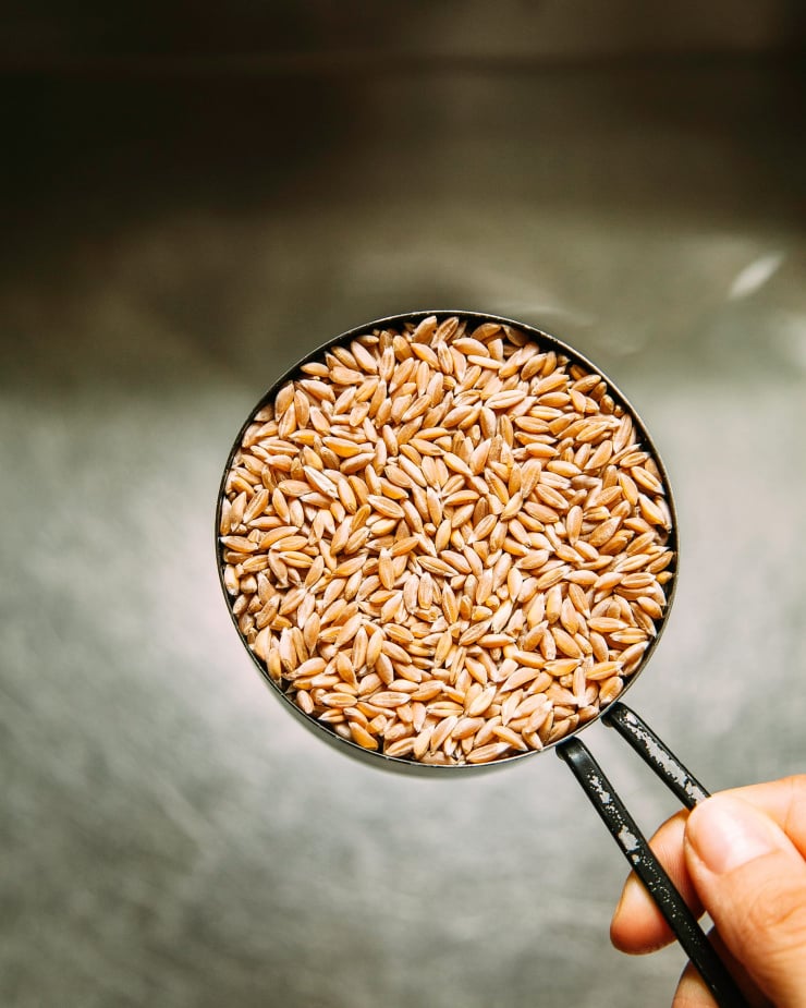 A hand is holding a measuring cup of dry farro.
