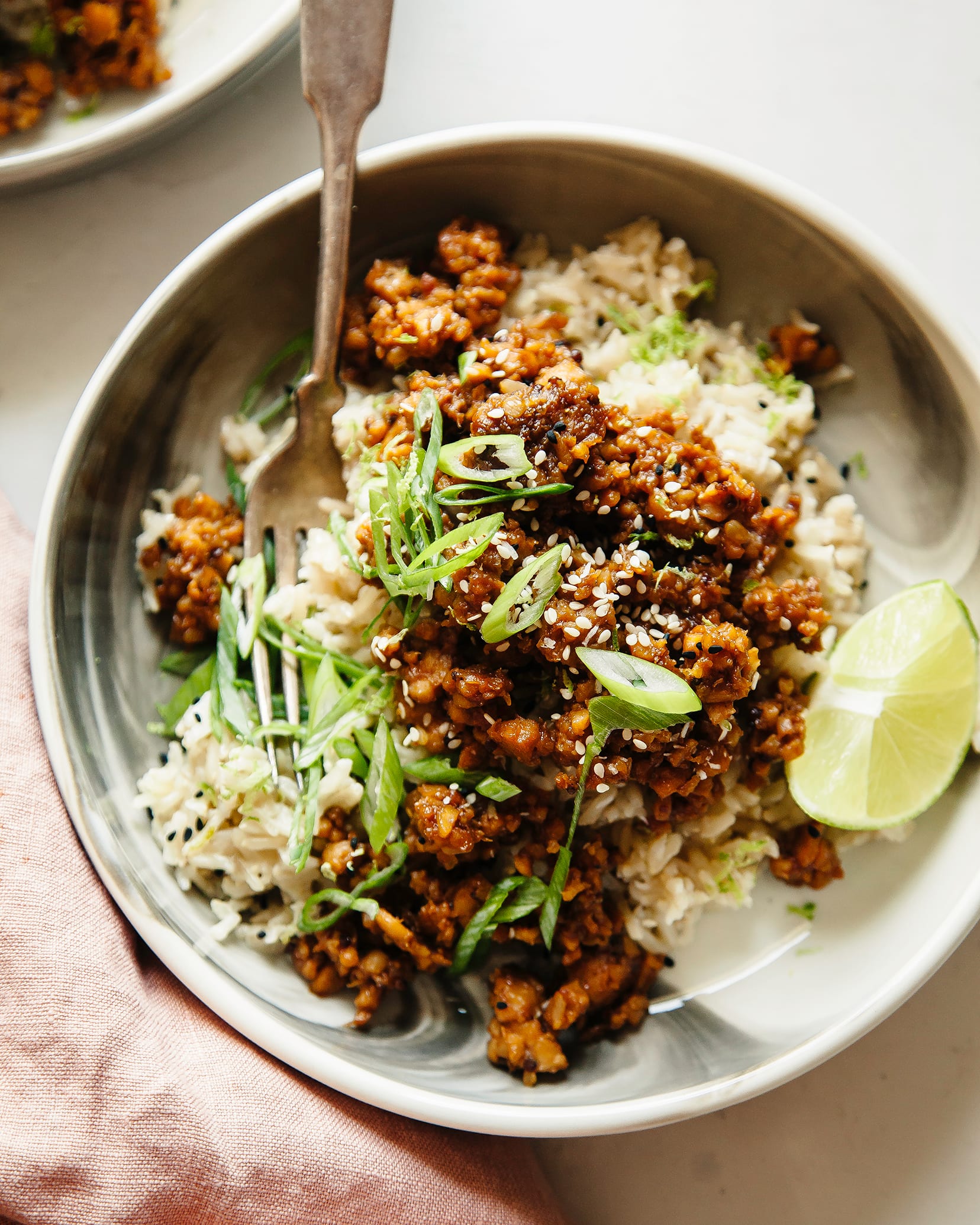 An overhead shot of crumbled tempeh coated in a red spice blend/sauce treatment. The tempeh is served on top of rice and garnished with sliced green onions.