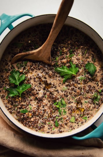An overhead shot of white wine lentils in a turquoise pot, garnished with parsley