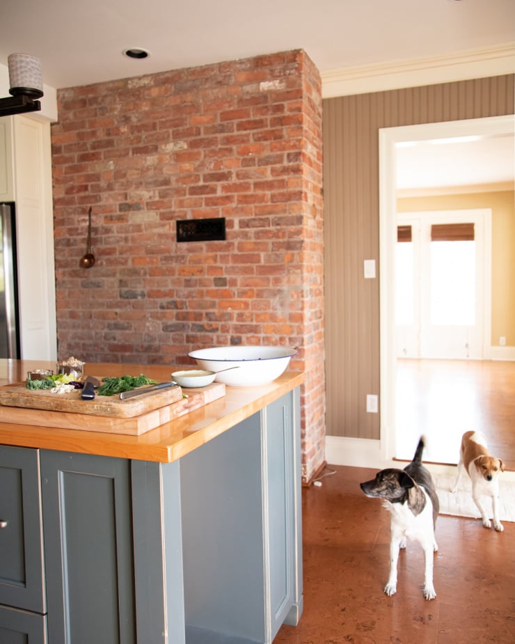 Image shows a kitchen scene with a brick wall and two very cute, small dogs hanging around to the side.