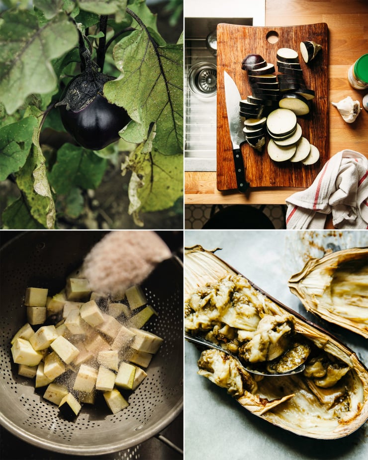 Four images in a grid show the following: eggplant growing from a plant in a garden, slices of eggplant on a cutting board, cubes of eggplant being sprinkled with salt, and a cooked eggplant half being scooped out with a spoon.