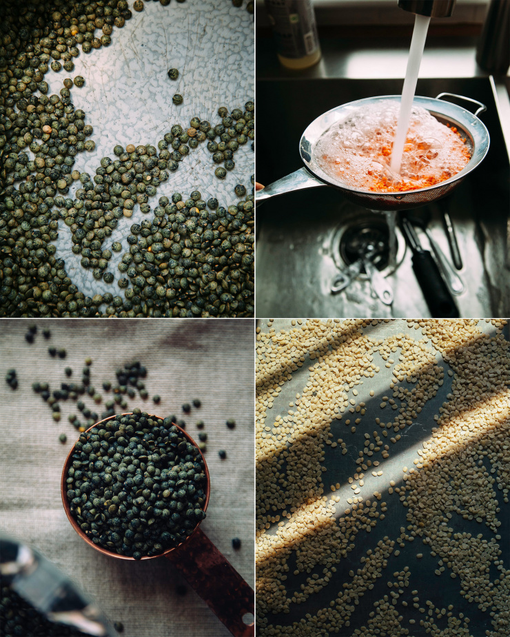 4 images in a grid show different types of lentils in their dry/uncooked format. Part of a vegan lentil recipes roundup.