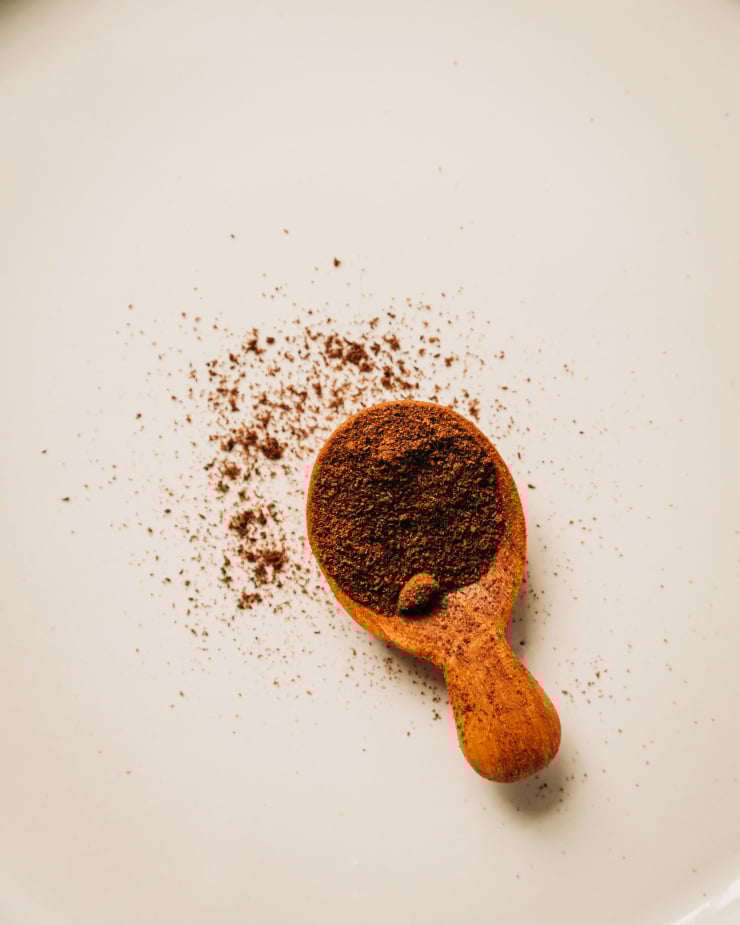 An up close of a small wooden spoon containing vanilla powder against a white background