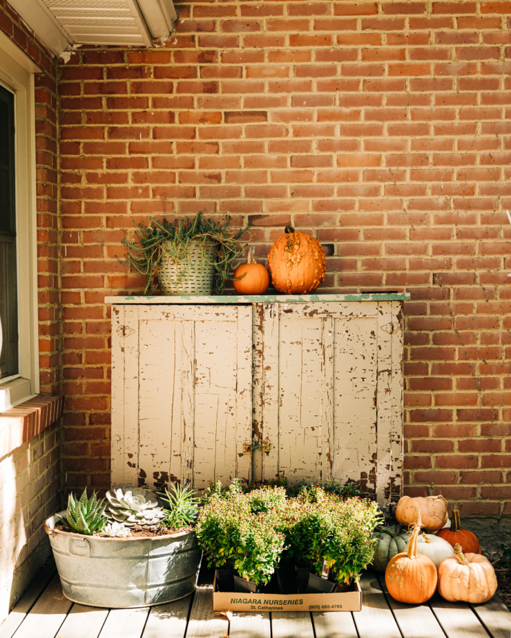 A head on shot shows a rustic cabinet on an outdoor deck against a pink-ish red brick background. There are pumpkins and Fall mums located nearby.