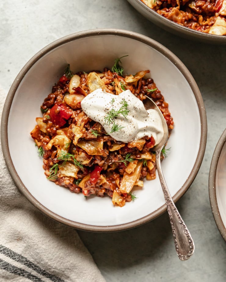 An overhead shot of a serving of vegan cabbage roll skillet, featuring french lentils, rice and roasted cabbage, in a bowl with a dollop of vegan sour cream on top. The serving is garnished with fresh dill.