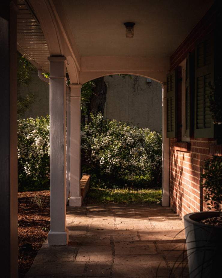 A head-on shot is taken from under a porch overhang. Dark shadows and golden light stretch out over a stone patio and a hedge of shrubs with white flowers.