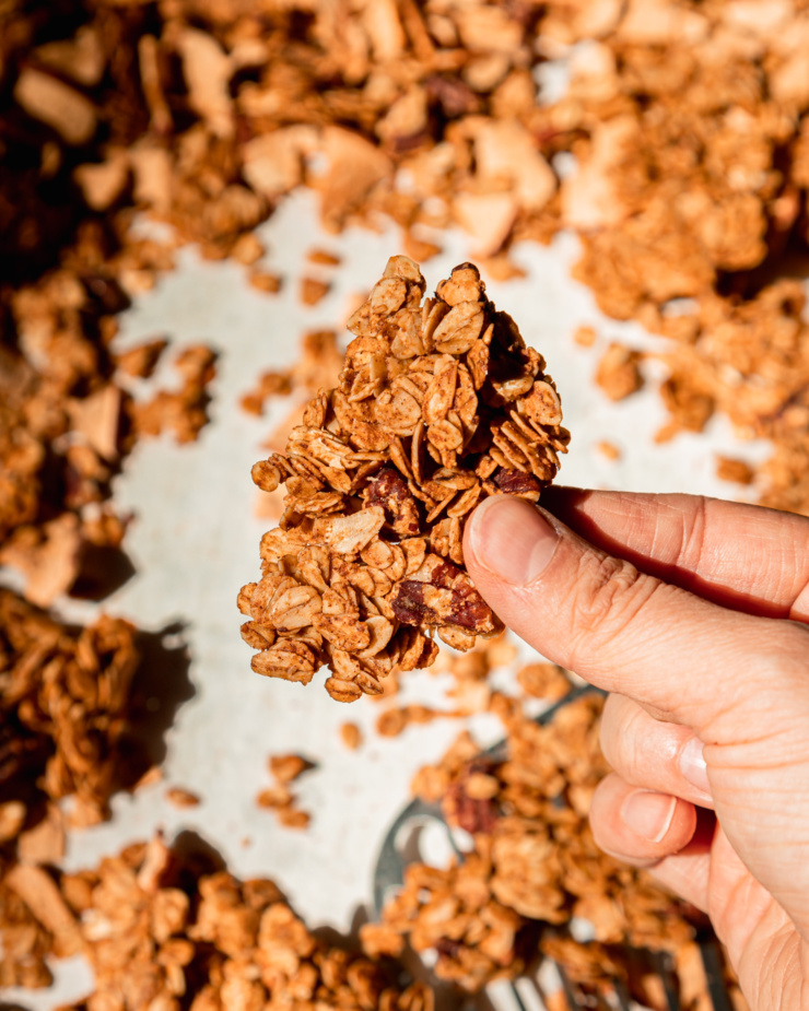 An overhead shot shows a hand holding a granola cluster.
