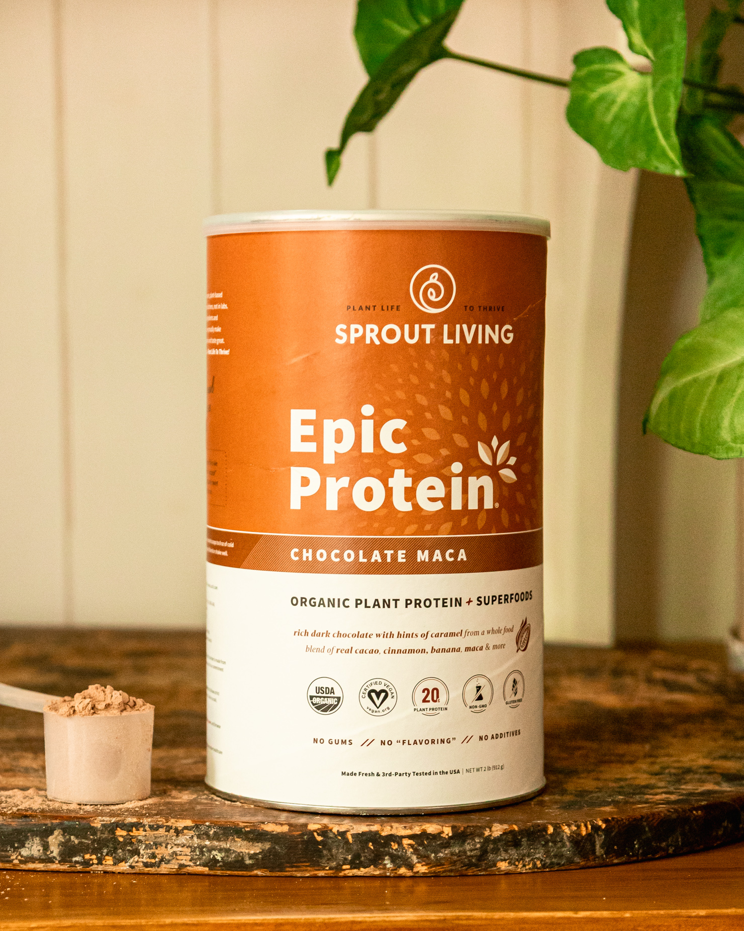 A head-on shot shows a canister of Sprout Living vegan protein powder in the chocolate flavour. The canister is on top of a worn wood cutting board with a plant nearby