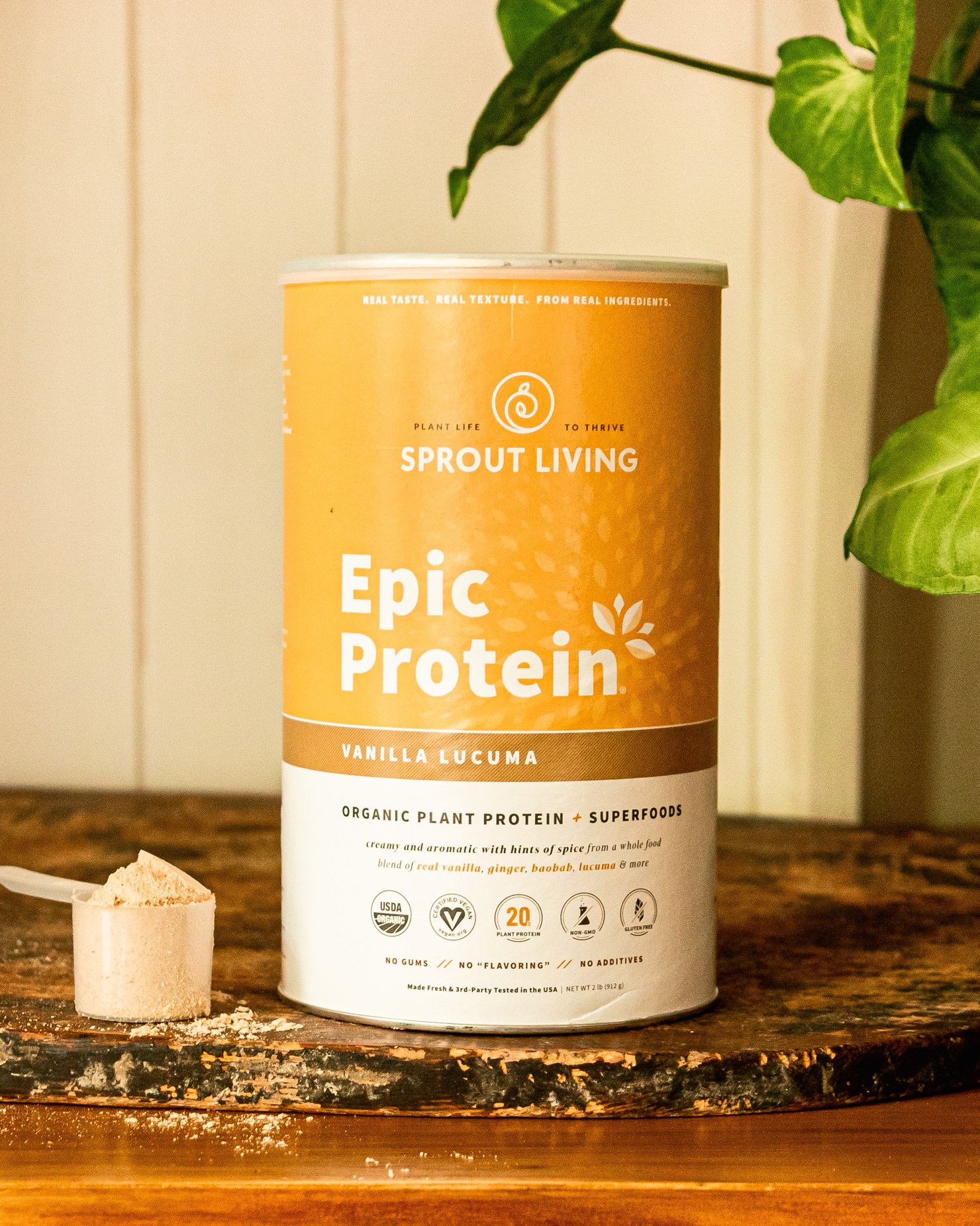 A head-on shot shows a canister of Sprout Living vegan protein powder in the vanilla flavour. The canister is on top of a worn wood cutting board with a plant nearby