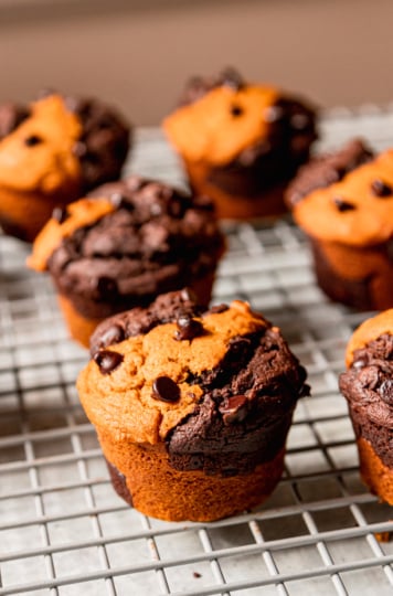 A 3/4 angle shot shows a marbled vegan pumpkin chocolate muffin with other muffins in the background. They are all on top of a cooling rack.