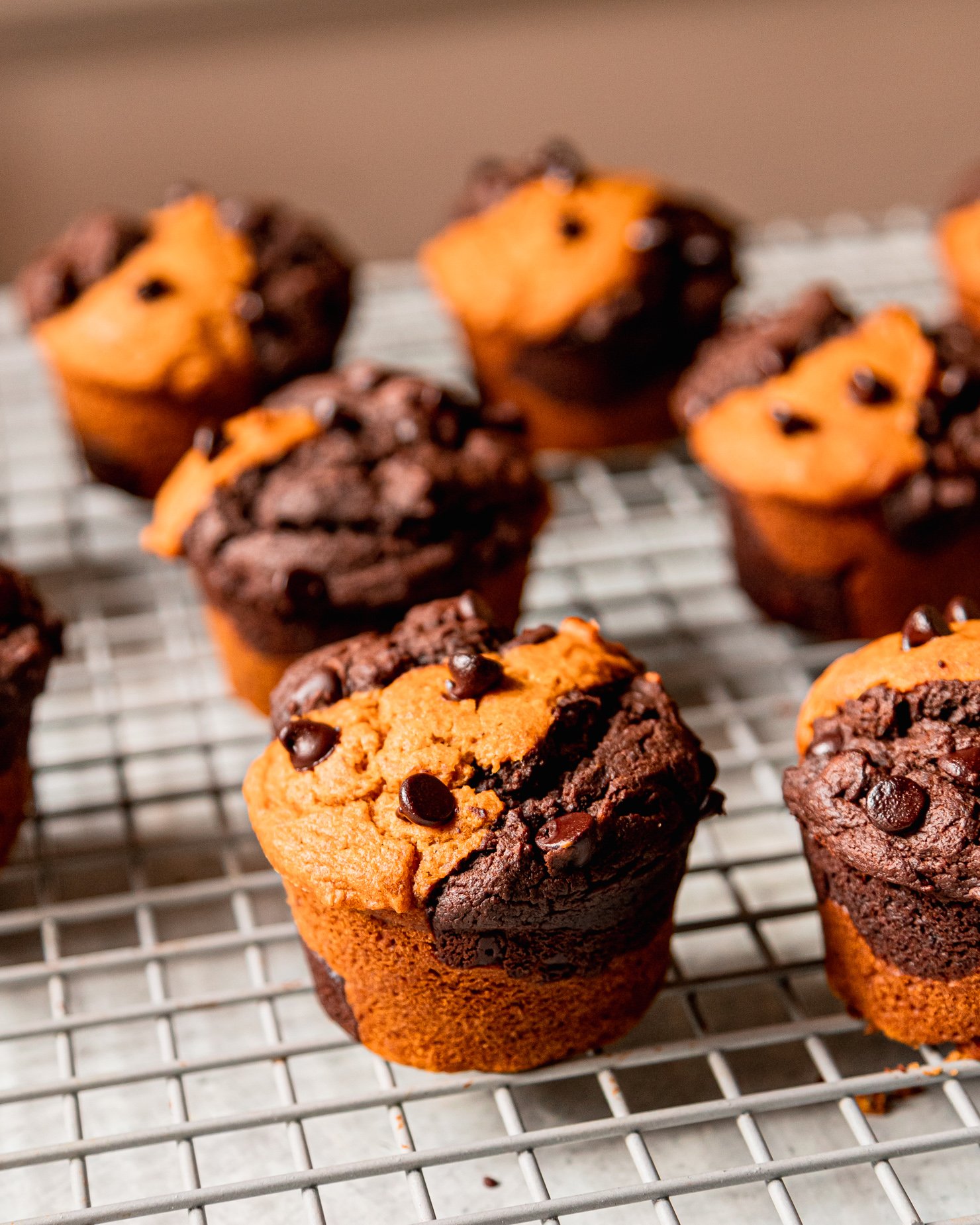 A 3/4 angle shot shows a marbled vegan pumpkin chocolate muffin with other muffins in the background. They are all on top of a cooling rack.
